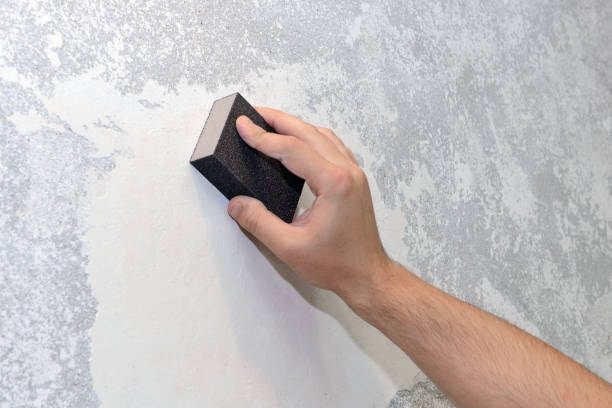 Best Mold Remediation for Healthcare Facilities  in Chestertown, MD