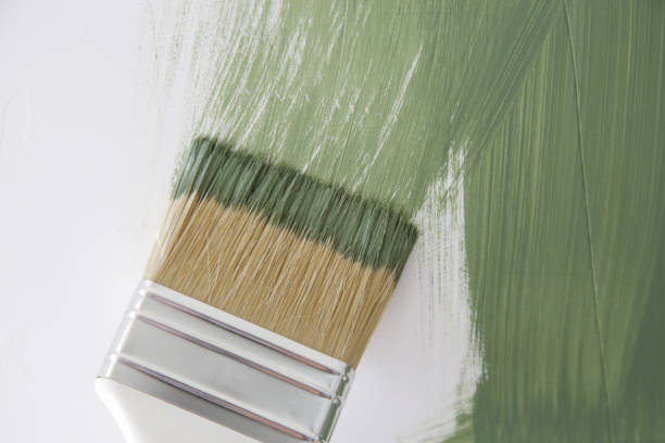 Best Commercial Mold Inspection  in Chestertown, MD