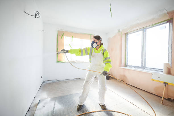 Best Industrial Mold Remediation  in Chestertown, MD