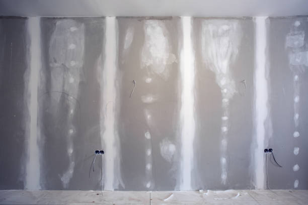 Best Emergency Mold Remediation  in Chestertown, MD