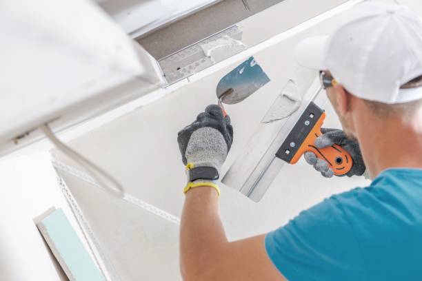 Best Black Mold Removal  in Chestertown, MD